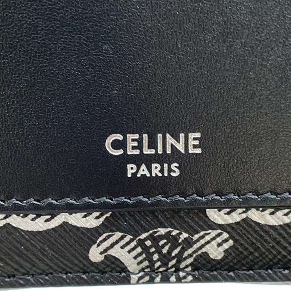 Celine Horizontal Pouch Shoulder Bag Black - Picture 8 of 10
